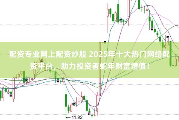 配资专业网上配资炒股 2025年十大热门网络配资平台，助力投资者蛇年财富增值！