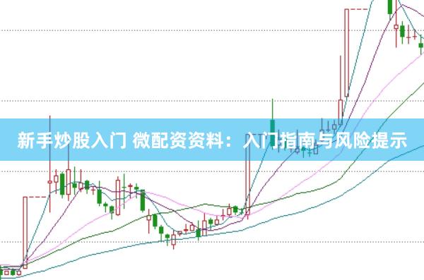 新手炒股入门 微配资资料：入门指南与风险提示