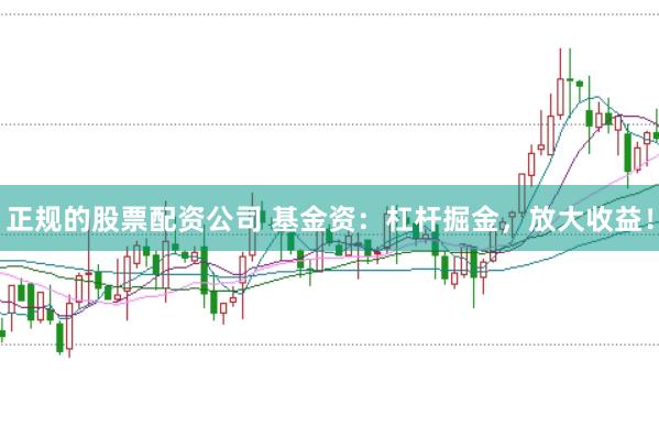 正规的股票配资公司 基金资：杠杆掘金，放大收益！