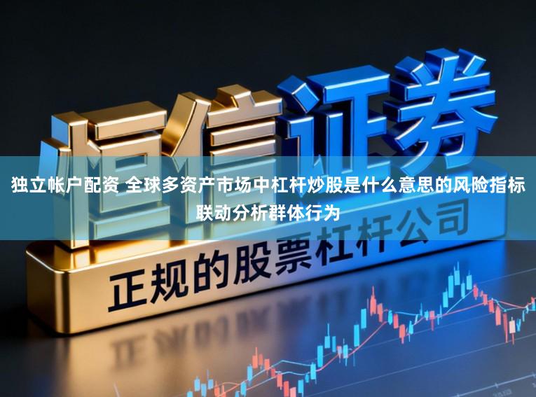 独立帐户配资 全球多资产市场中杠杆炒股是什么意思的风险指标联动分析群体行为