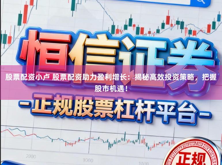 股票配资小卢 股票配资助力盈利增长：揭秘高效投资策略，把握股市机遇！