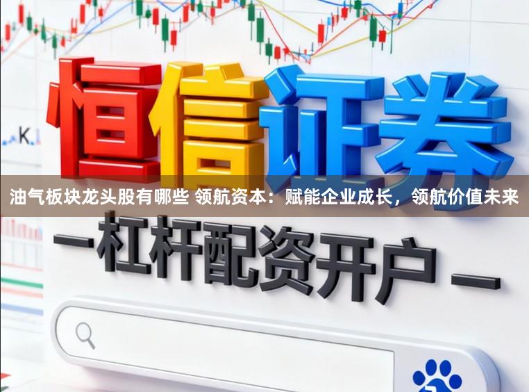 油气板块龙头股有哪些 领航资本：赋能企业成长，领航价值未来